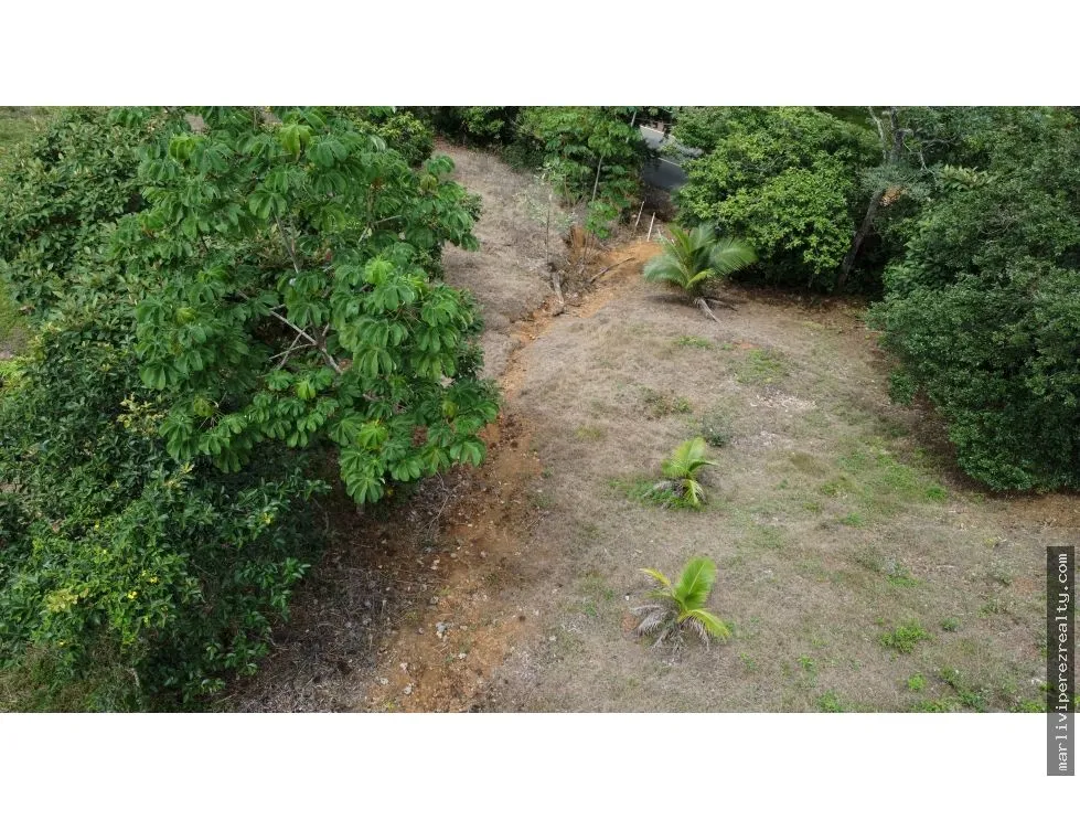 Land for Sale in El Espavé, Tonosí
