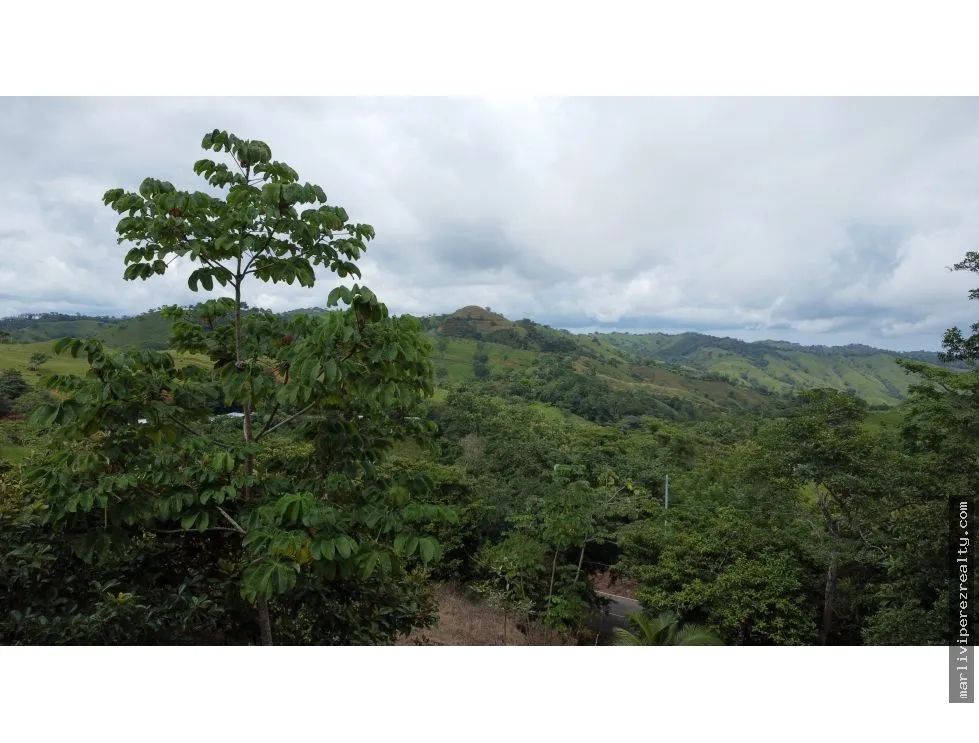 Land for Sale in El Espavé, Tonosí