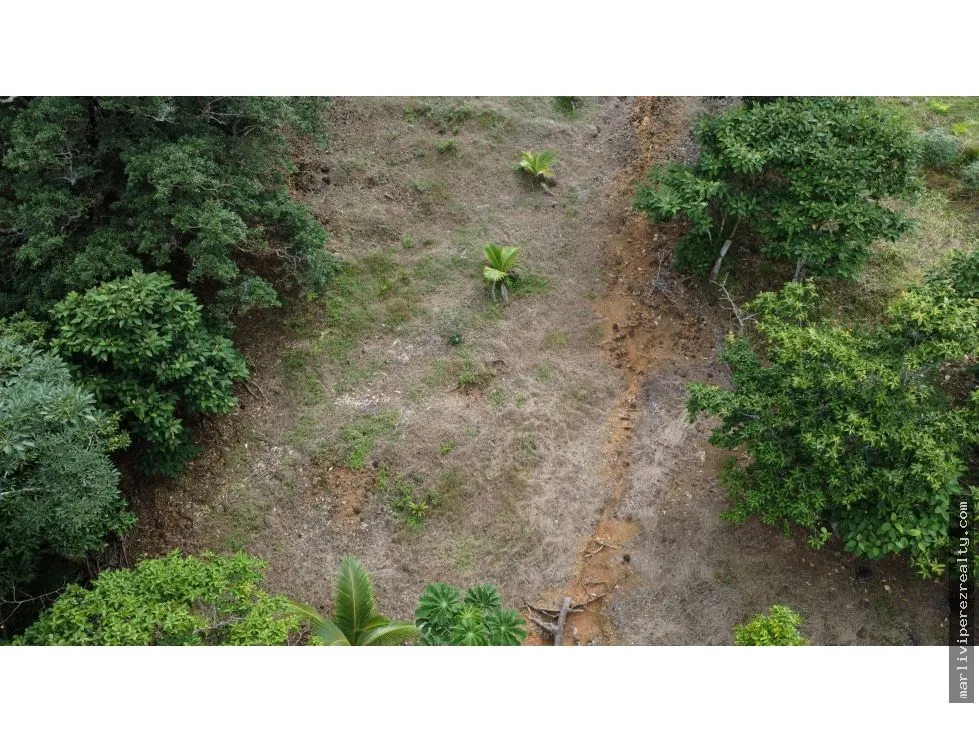 Land for Sale in El Espavé, Tonosí