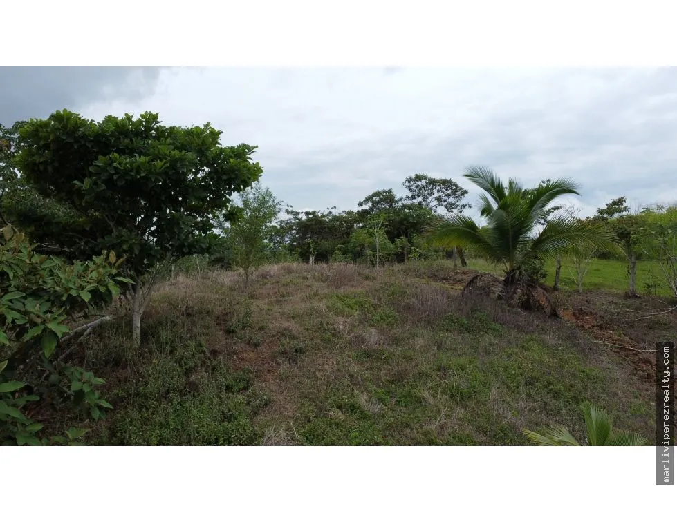 Land for Sale in El Espavé, Tonosí