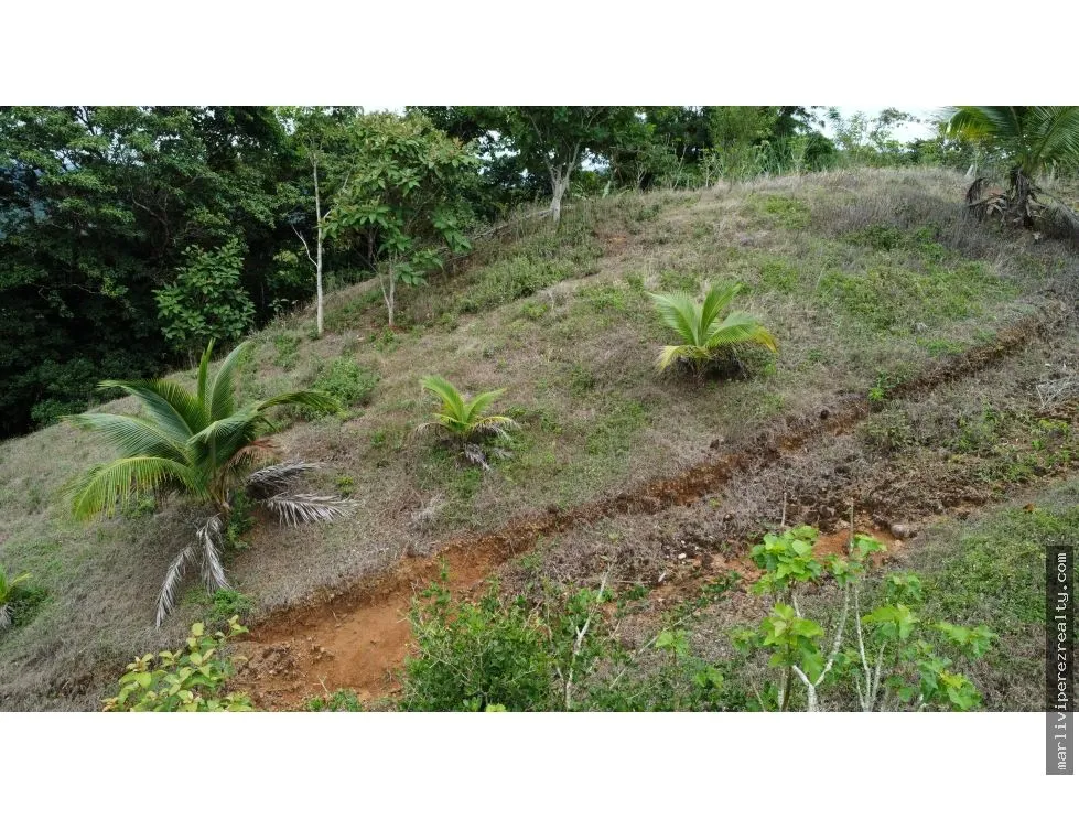 Land for Sale in El Espavé, Tonosí