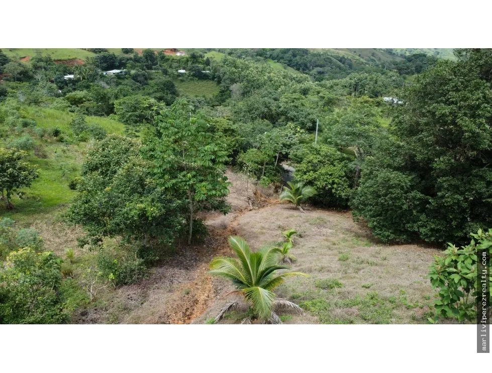 Land for Sale in El Espavé, Tonosí