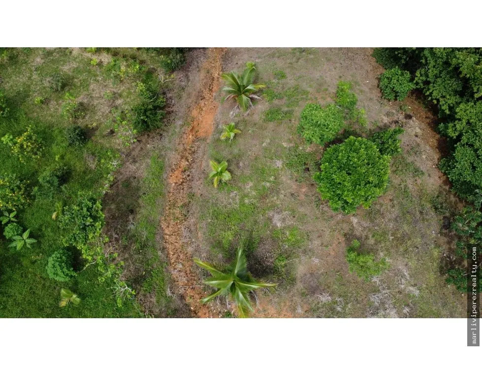 Land for Sale in El Espavé, Tonosí