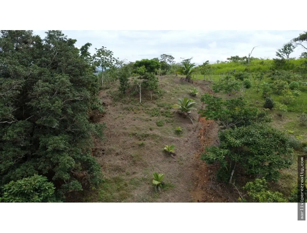 Land for Sale in El Espavé, Tonosí