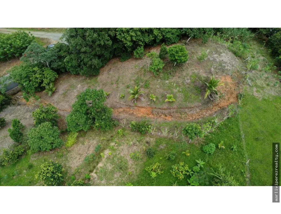 Land for Sale in El Espavé, Tonosí