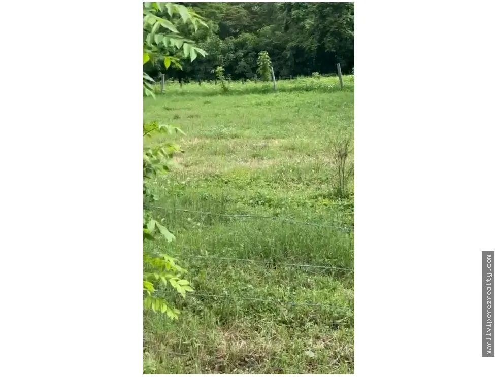 Land Sale in Guanico Abajo, Tonosí