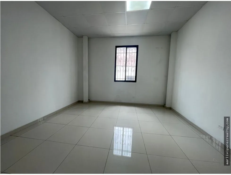 Commercial Plaza for Sale on Ernesto T. Lefevre Avenue