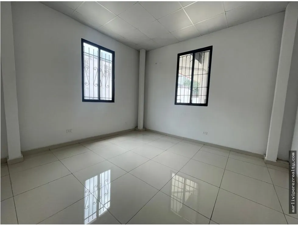 Commercial Plaza for Sale on Ernesto T. Lefevre Avenue