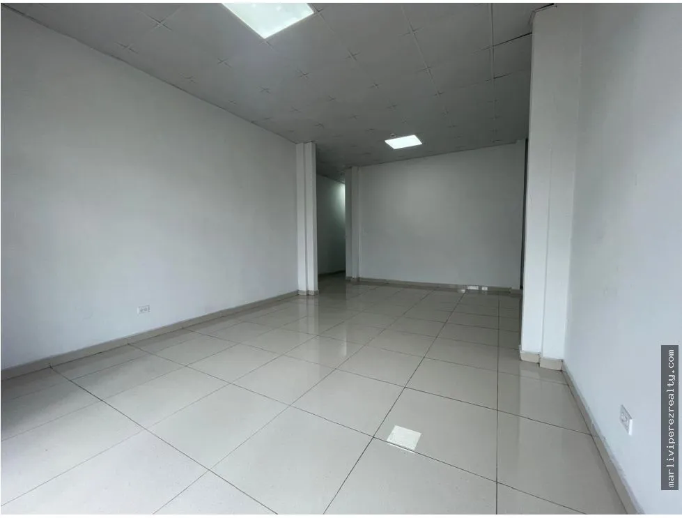 Commercial Plaza for Sale on Ernesto T. Lefevre Avenue