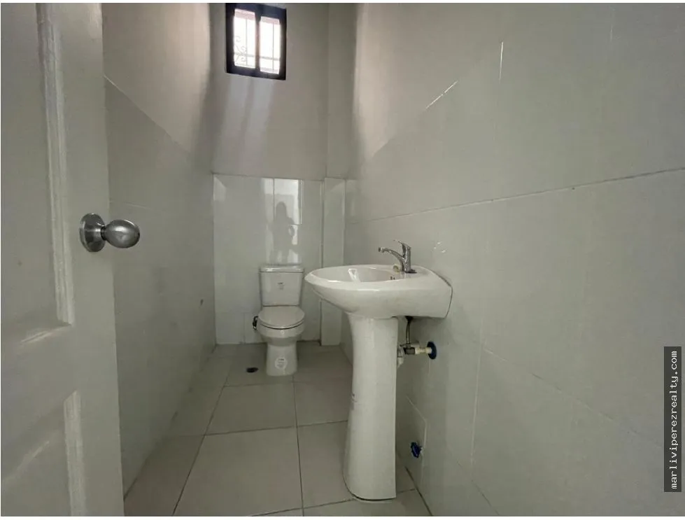 Commercial Plaza for Sale on Ernesto T. Lefevre Avenue