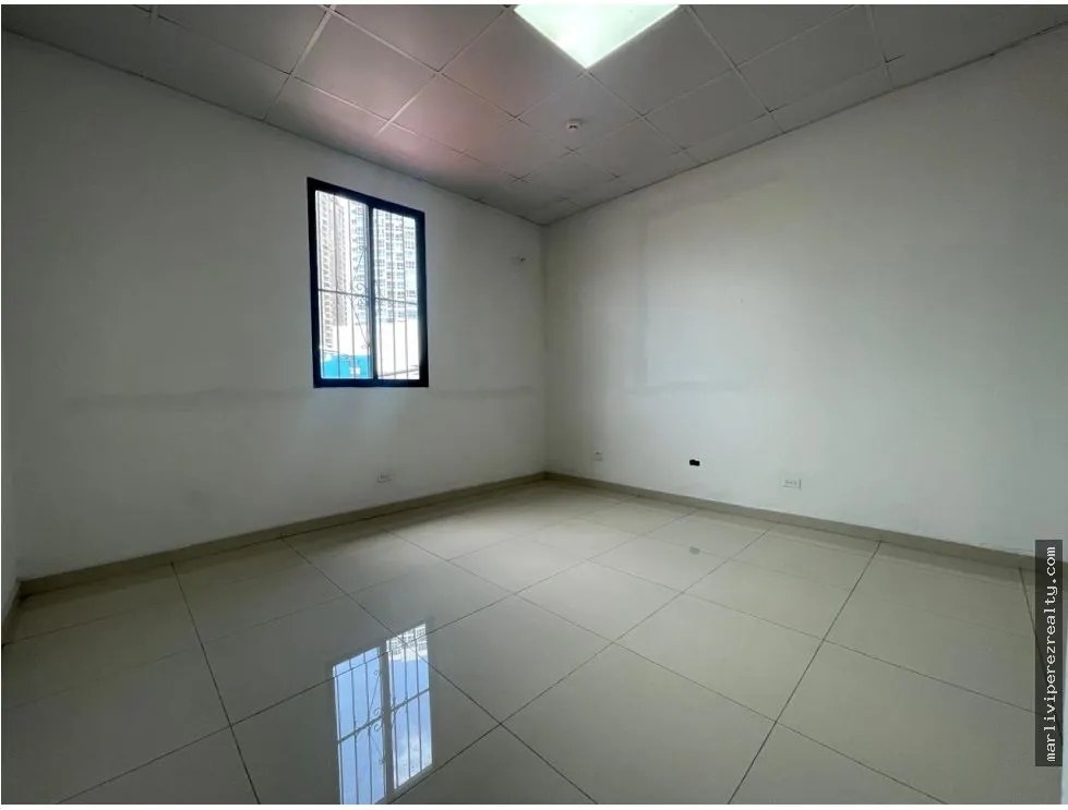 Commercial Plaza for Sale on Ernesto T. Lefevre Avenue