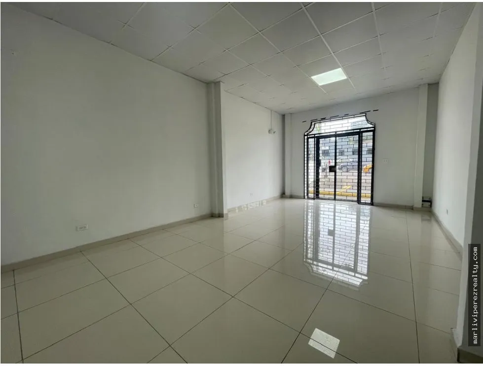 Commercial Plaza for Sale on Ernesto T. Lefevre Avenue