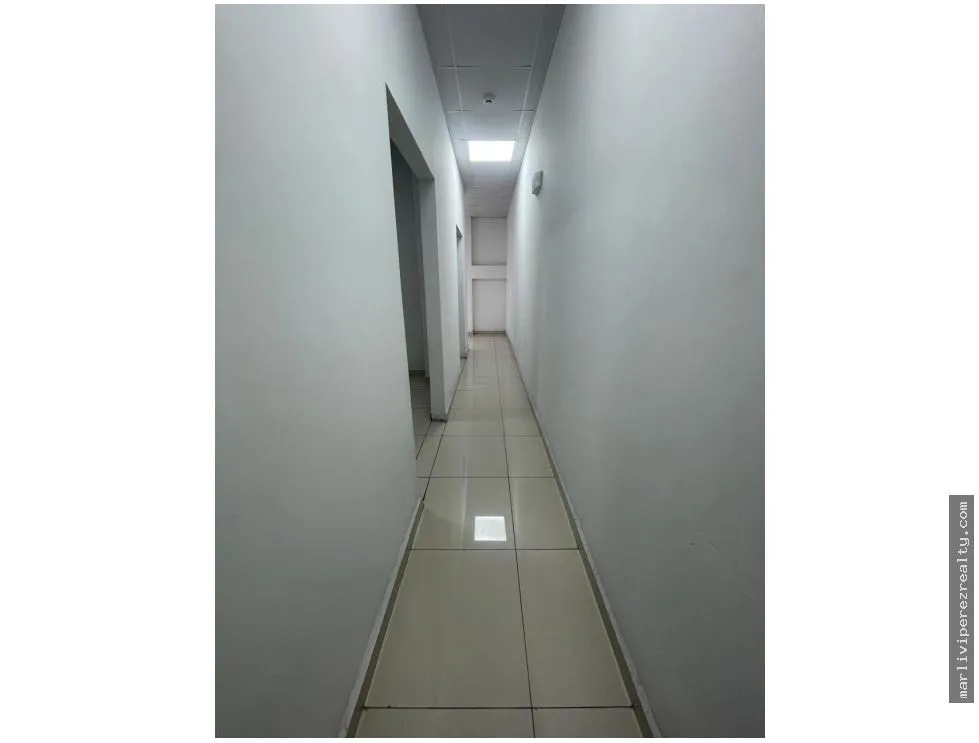 Commercial Plaza for Sale on Ernesto T. Lefevre Avenue