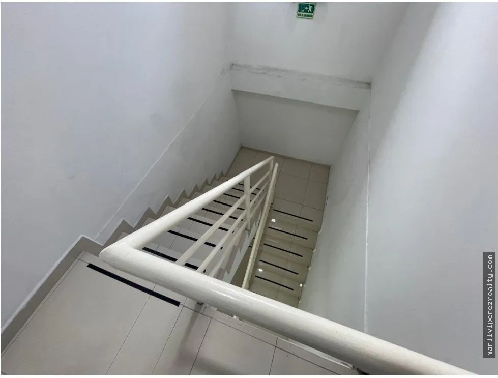 Commercial Plaza for Sale on Ernesto T. Lefevre Avenue