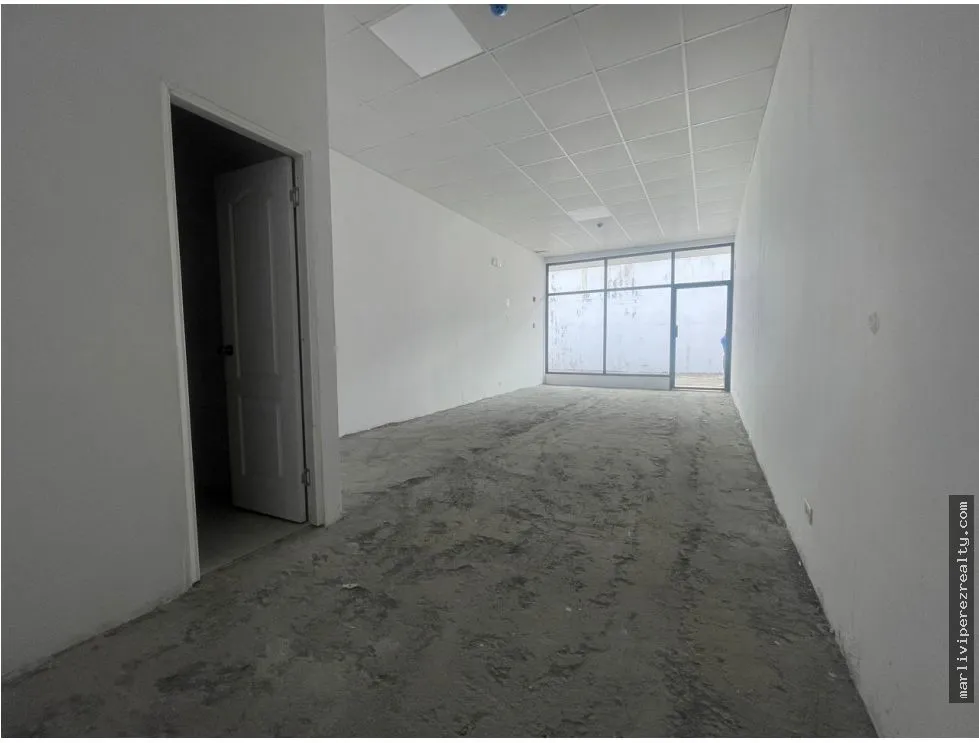 Commercial Plaza for Sale on Ernesto T. Lefevre Avenue