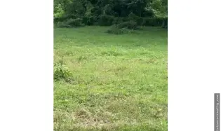 Terrain à bâtir à Tonosi à vendre