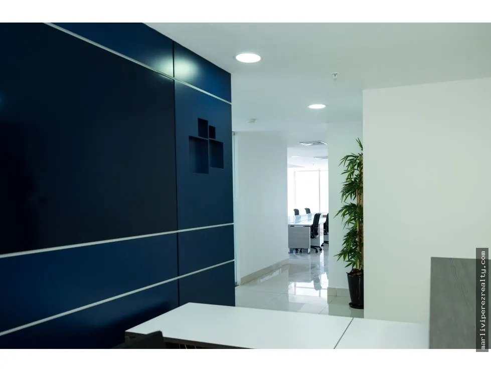 Alquiler de Oficinas en Avenida Balboa