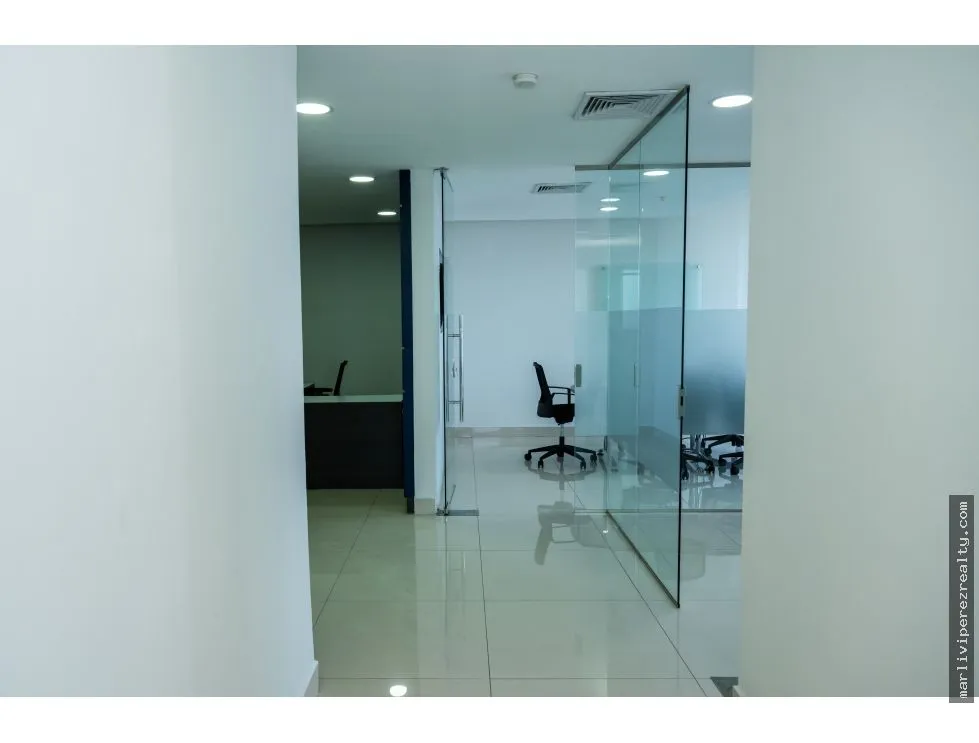 Alquiler de Oficinas en Avenida Balboa