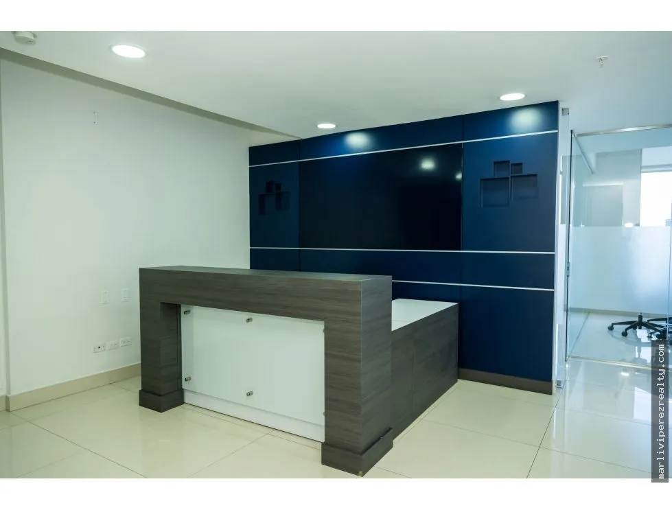 Alquiler de Oficinas en Avenida Balboa