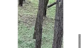 Terreno en Venta, Altos del Maria