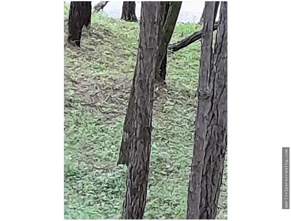 Terreno en Venta, Altos del Maria
