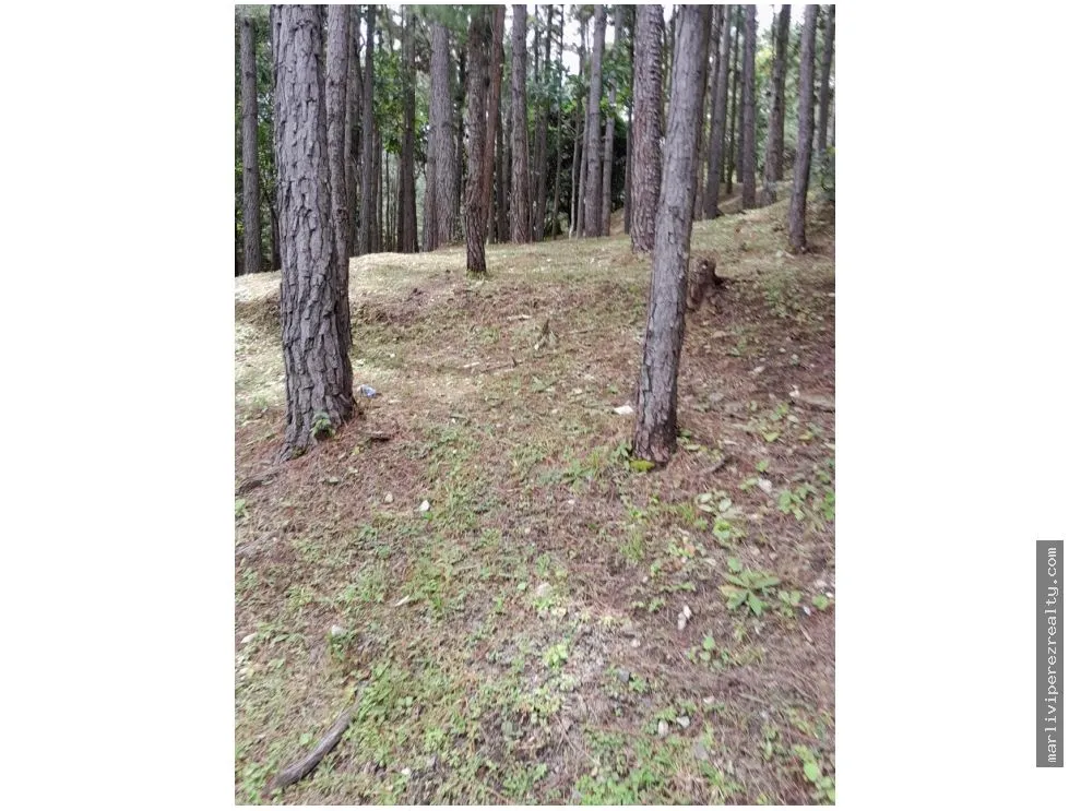 Terreno en Venta, Altos del Maria