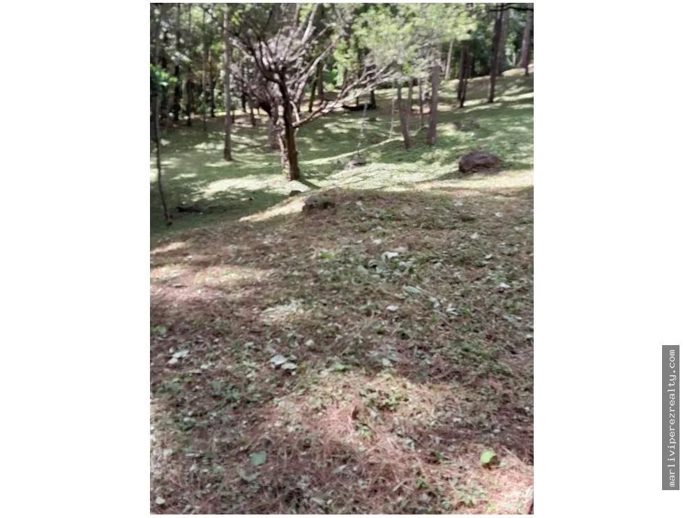 Terreno en Venta, Altos del Maria