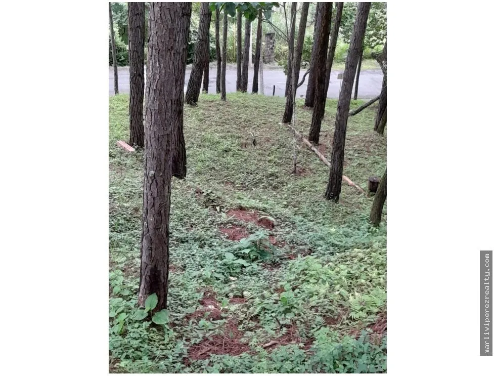 Terreno en Venta, Altos del Maria