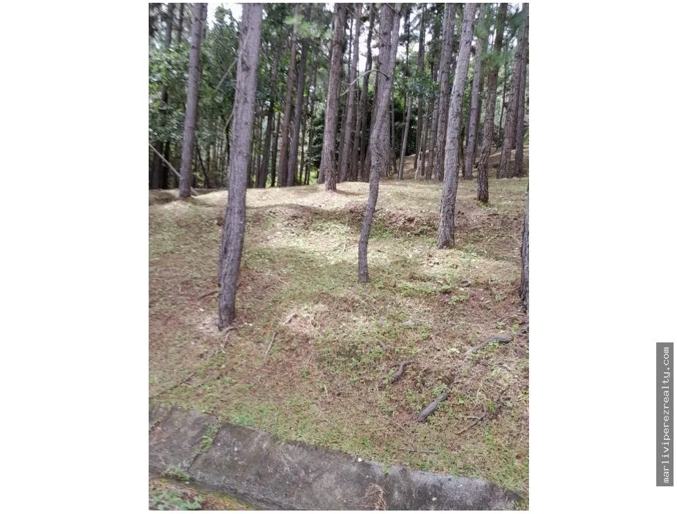 Terreno en Venta, Altos del Maria
