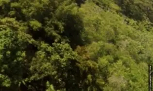Venta de terreno en San Pablo Viejo Arriba, Chiriquí