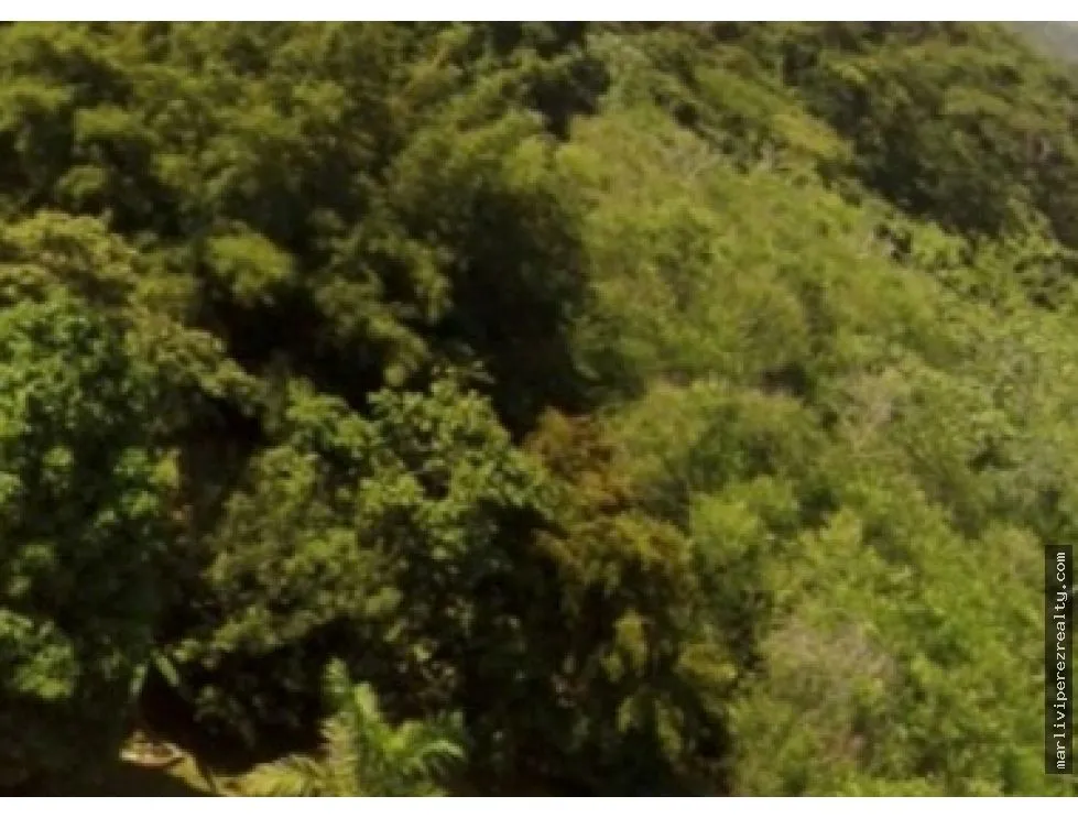 Venta de terreno en Bágala, Chiriquí