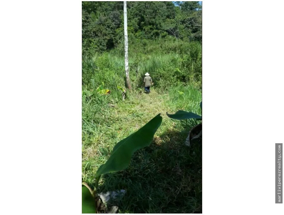 Venta de terreno en Bágala, Chiriquí
