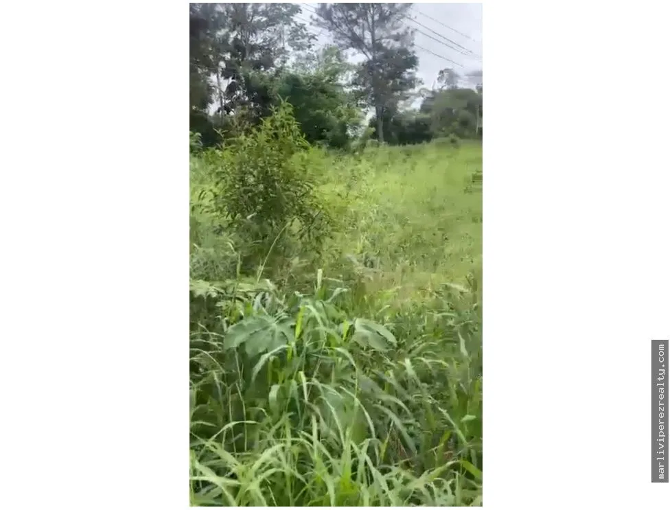 Venta de terreno en Bágala, Chiriquí