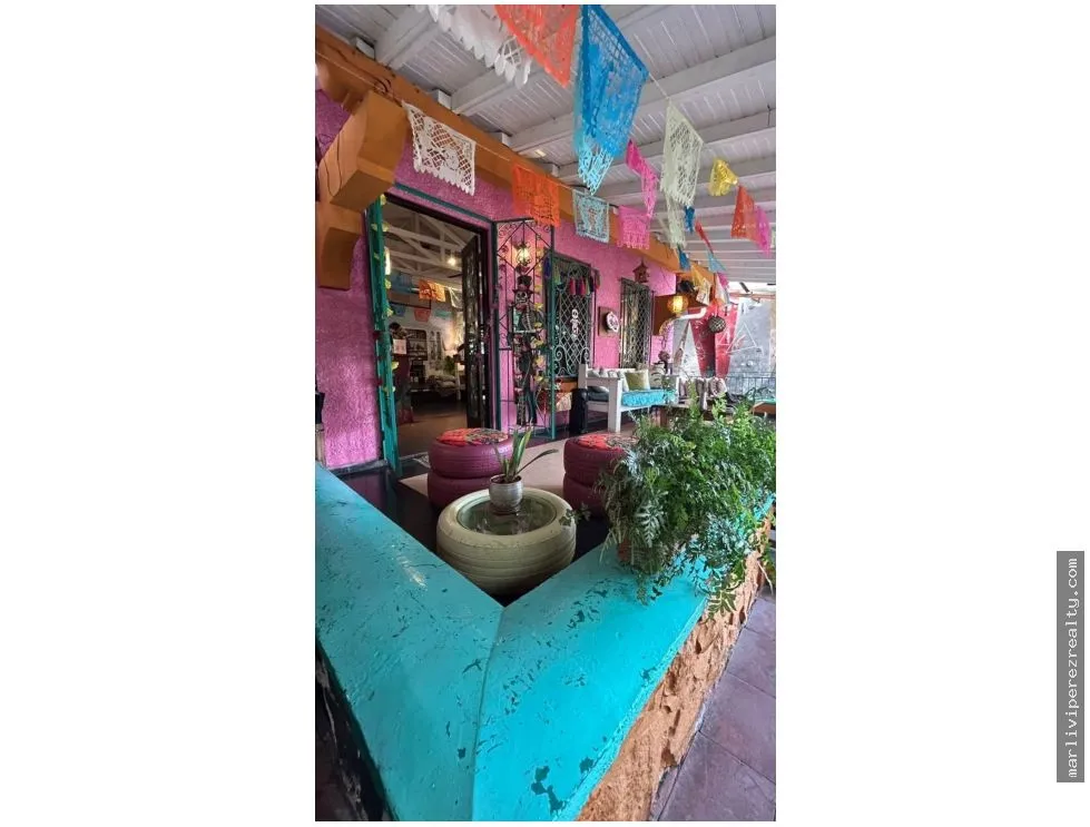 Negocio en funcionamiento en venta, Bella Vista