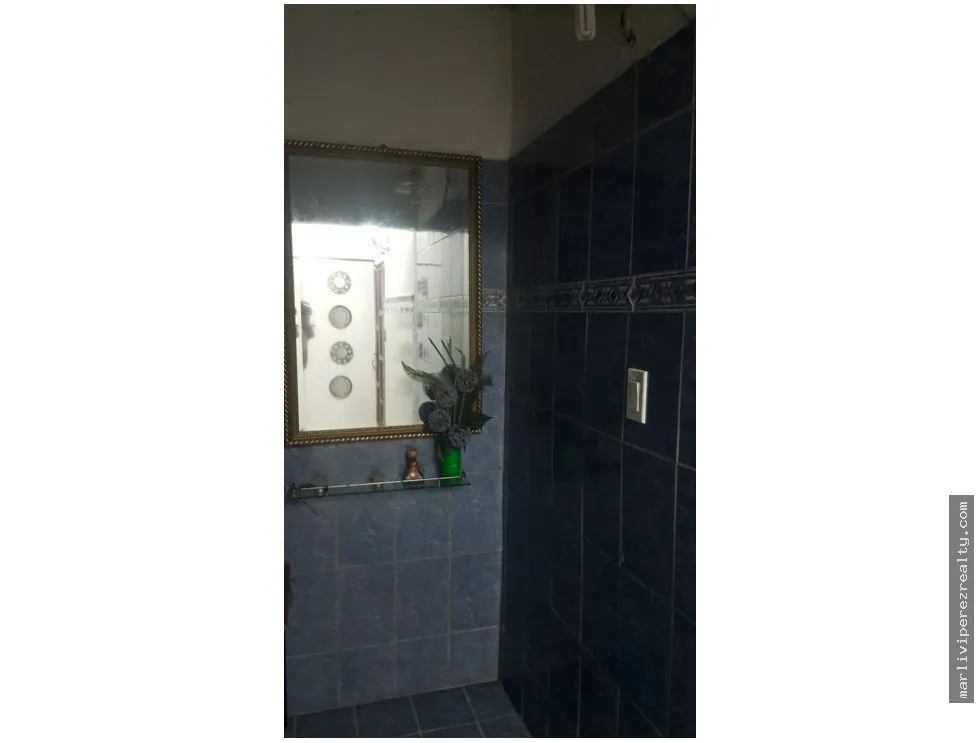 Venta de casa en Llanos de Curundu