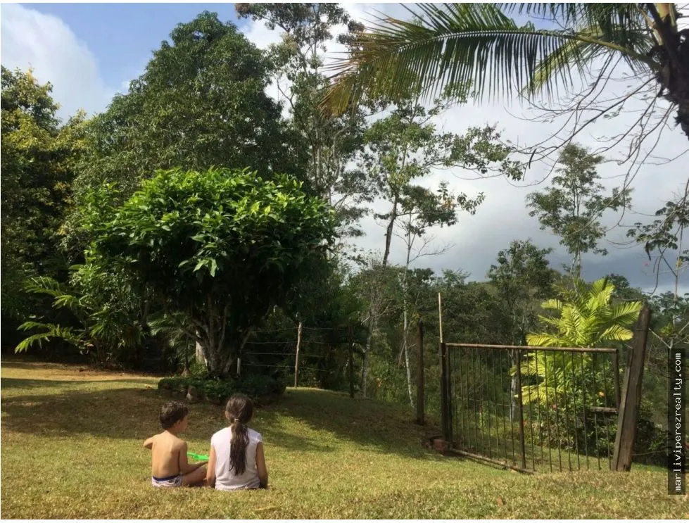 建筑很多 在 Chorrera 出售