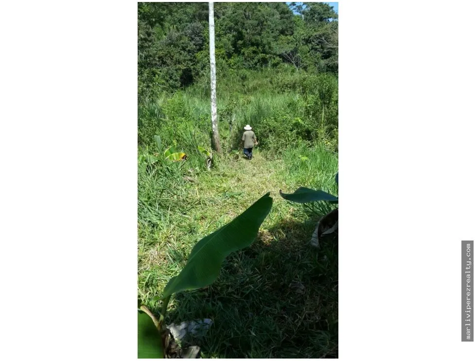 建筑很多 在 Chorrera 出售