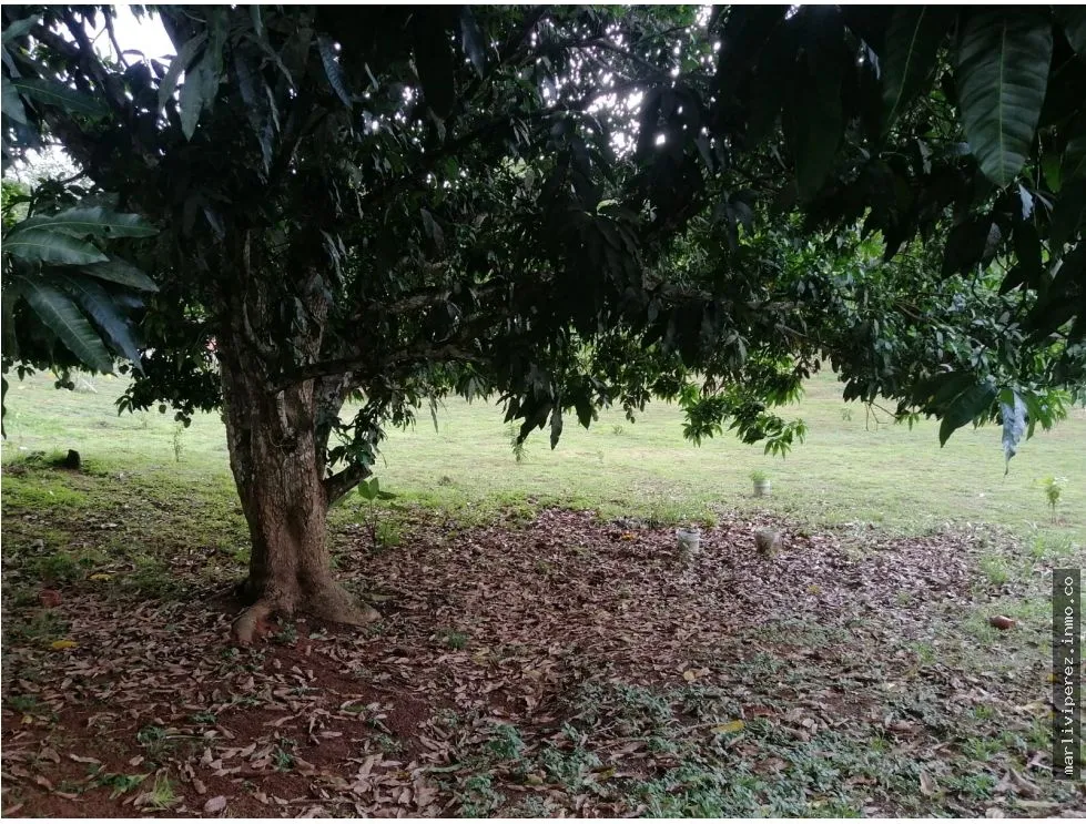 VENTA DE TERRENO CON CASA EN CHILIBRE, OPORTUNIDAD