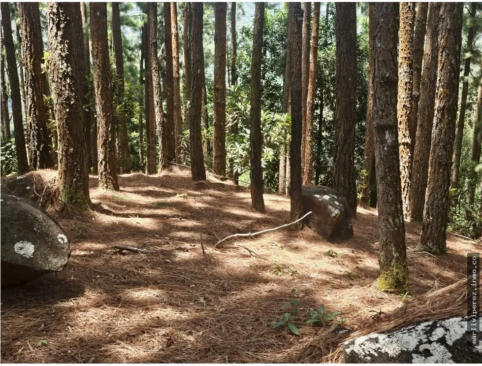 LAND SALE WITH HOUSE IN ALTOS DE MARIA