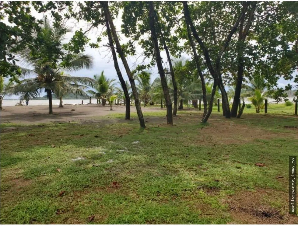 VENTA DE TERRENO EN COLON, NOMBRE DE DIOS