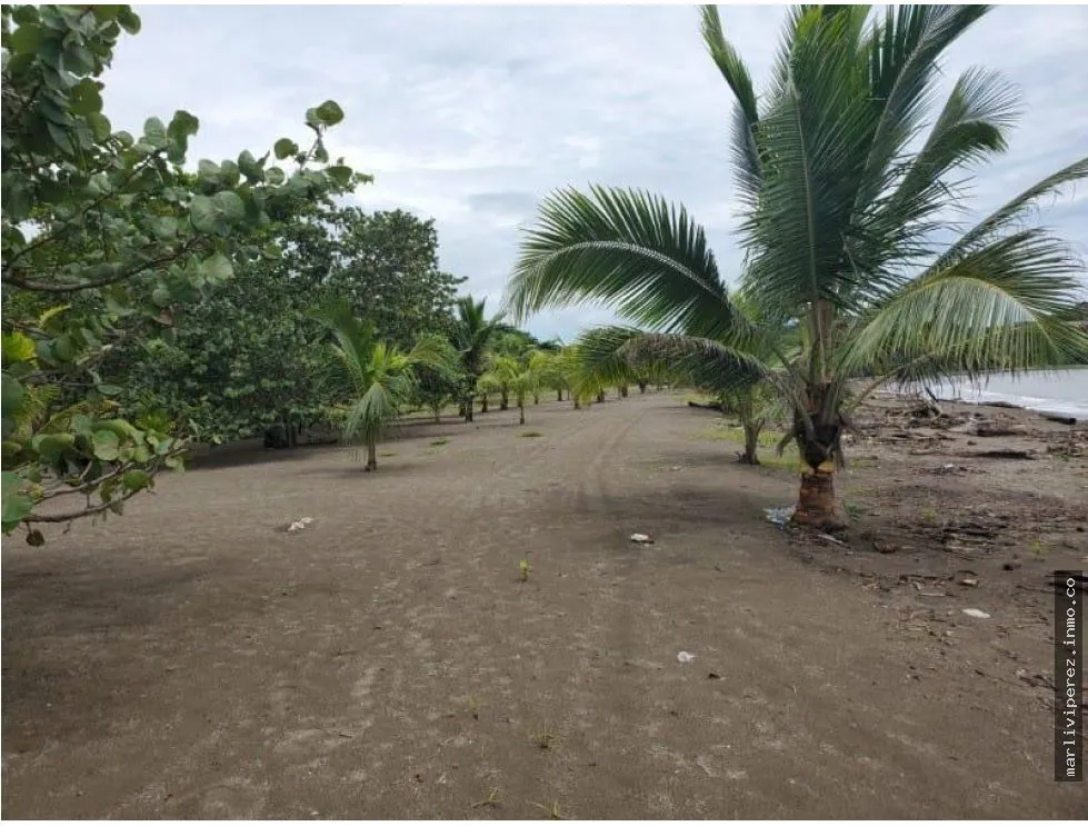 VENTA DE TERRENO EN COLON, NOMBRE DE DIOS