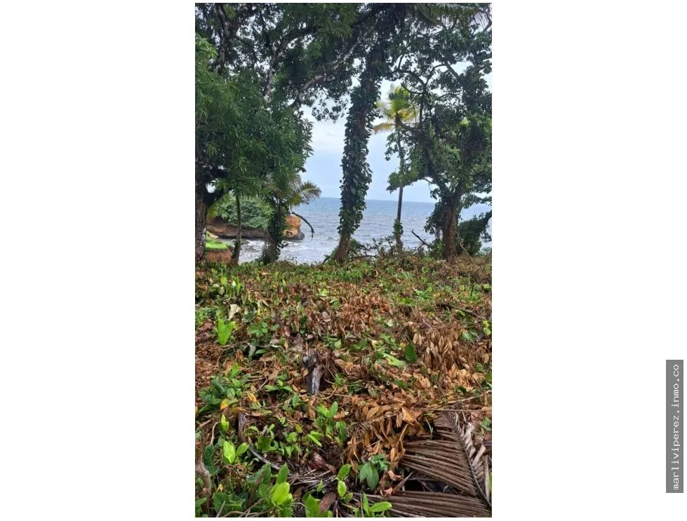 Beach Land Sale in Colón Palmas Bellas