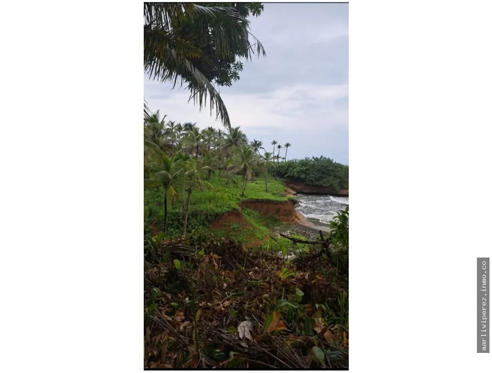 Beach Land Sale in Colón Palmas Bellas
