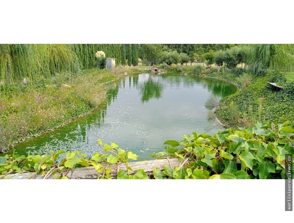VENTA DE FINCA RÚSTICA, NATURALEZA PURA, ESPAÑA-NAVARRA