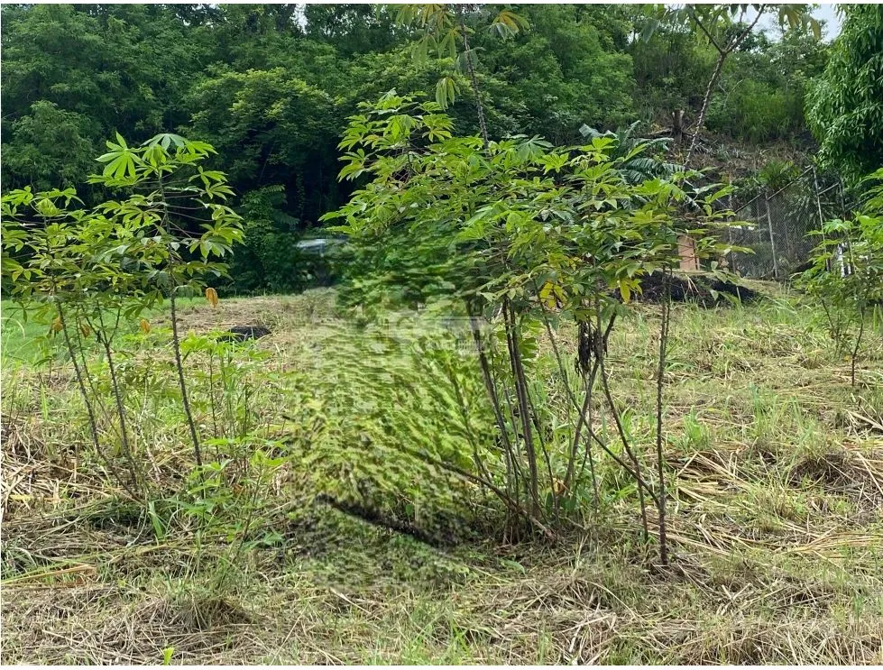 Building Lot for sale in Altos de Santa Maria