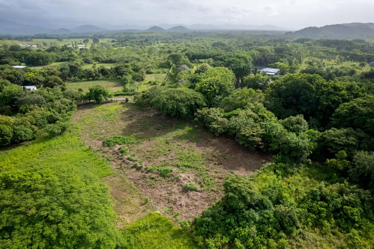 Perfect Homesite Lot For Sale in Bejuco Chame