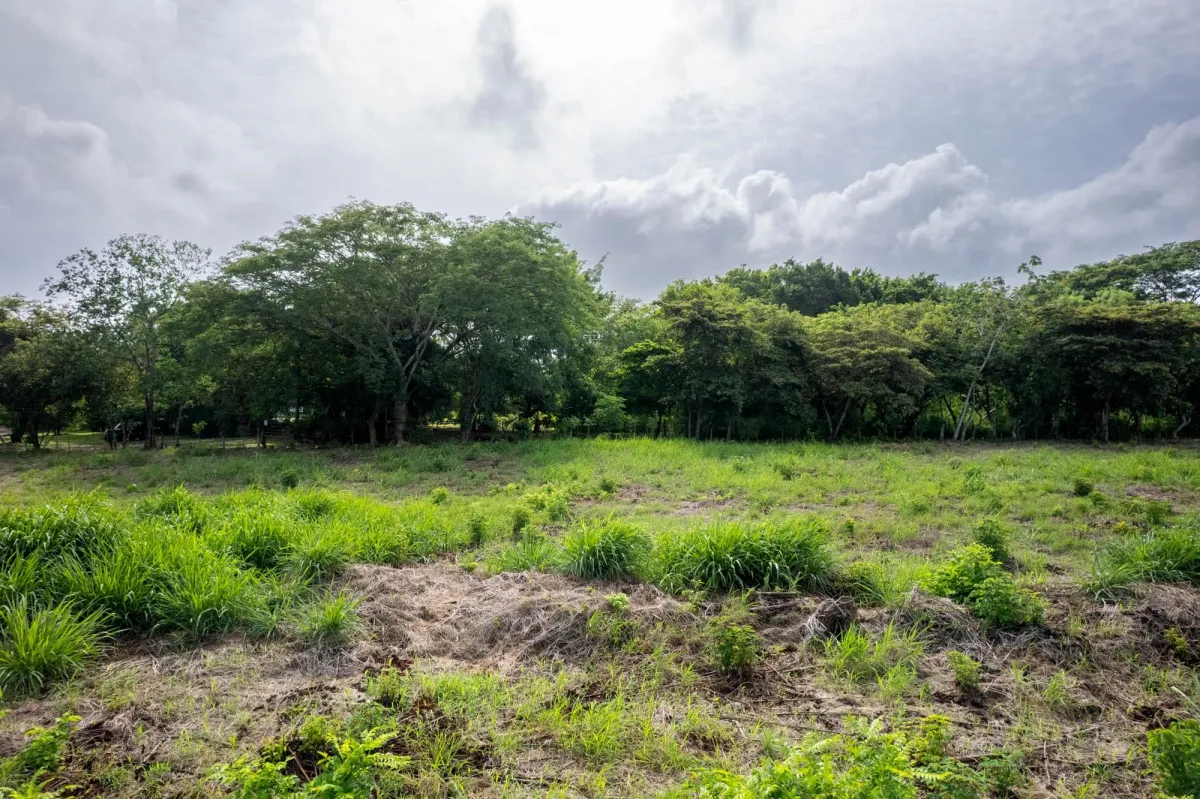 Perfect Homesite Lot For Sale in Bejuco Chame