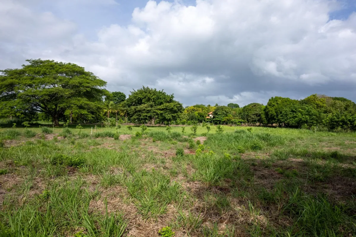 Perfect Homesite Lot For Sale in Bejuco Chame