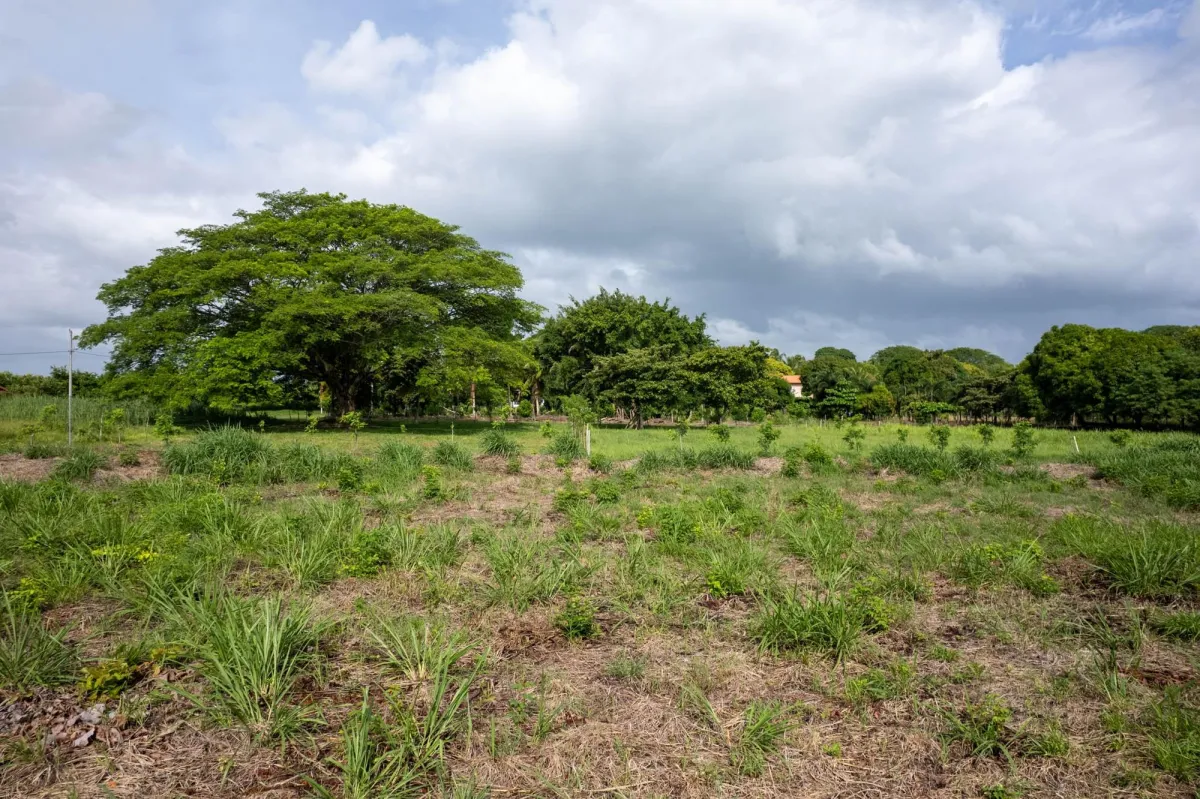 Perfect Homesite Lot For Sale in Bejuco Chame