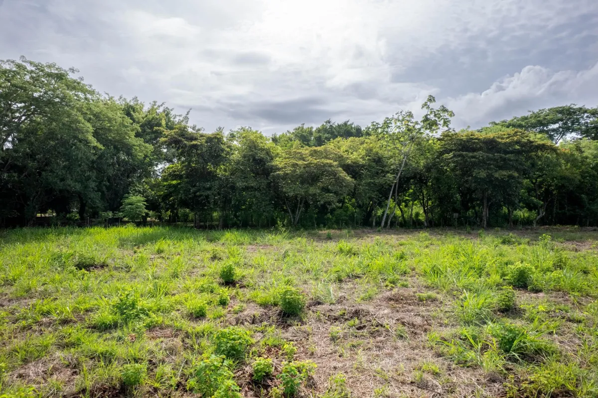 Perfect Homesite Lot For Sale in Bejuco Chame